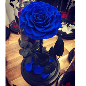 Dôme de <span class=keywords><strong>rose</strong></span> lumineux à LED <span class=keywords><strong>Rose</strong></span> <span class=keywords><strong>La</strong></span> Belle et <span class=keywords><strong>la</strong></span> Bête <span class=keywords><strong>prix</strong></span> raisonnable <span class=keywords><strong>Rose</strong></span> <span class=keywords><strong>éternelle</strong></span> préservée enchantée dans un dôme de verre - Product Image 5