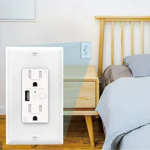 In-Wall Plug US 110V 15Amp Tuya Timer APP WiFi Smart USB SocketとSwitch Amazon Alexa Google Home Wall Outlet