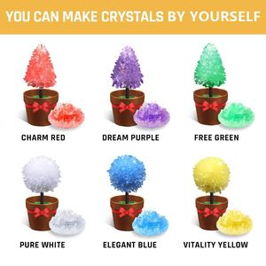 DIY Cristal Plantation Jouet Cristal Croissance Science Kits Cristal Arts À Croissance Rapide Expérience Chimique STEM Jouet Éducatif pour Enfant - Product Image 2