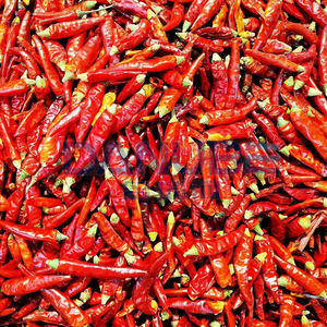 Sécheur alimentaire à pompe à chaleur de haute qualité pour oignons, gingembre, piments, légumes, herbes et épices - Product Image 5