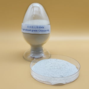 Bubuk Chitosan langsung pabrik tipe KN untuk pertanian - Product Image 1