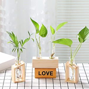 Ensemble de photographie <span class=keywords><strong>en</strong></span> <span class=keywords><strong>verre</strong></span> avec support <span class=keywords><strong>en</strong></span> bambou, bac à tests <span class=keywords><strong>en</strong></span> <span class=keywords><strong>verre</strong></span>, Terrarium, Mini Pots pour plantes hydroponiques pour décor spatial - Product Image 5