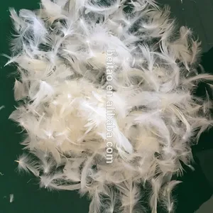 6-8cm naturel lavé plume de canard blanc