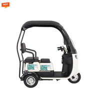 Scooter électrique de luxe à 2 places, 600W 1000W, batterie au plomb-acide 60V, tricycle récréatif à 3 roues avec toit