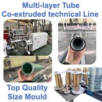 Ligne d'extrusion de tube médical Pu Tpu pp ligne d'extrusion de tuyau de canule extrudeuse à vis unique machine de tube médical pp