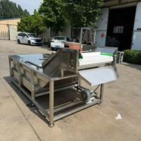 Volledig automatische fruit- en groentewasmachine met hogedruksproeier voor het reinigen van druiven