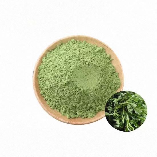 High Quality Organic Alfalfa Seedling Powder Herb Extract Food Grade TLC Tested 1kg Drum Vacuum Packed Minimum Order 1kg
