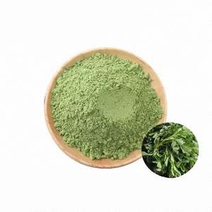 有機アルファルファ苗粉末ハーブエキス食品グレードTLCテスト済み1kgドラム真空パック最低注文1kg - Product Image 1