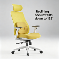 Chaise de bureau avec support lombaire, chaise de bureau ergonomique avec coussin, chaise de bureau ergonomique réglable, chaise de bureau entièrement en maille