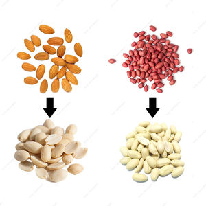 Máquina peladora de frijoles empapados, método húmedo, máquina removedora de piel de <span class=keywords><strong>almendra</strong></span>, máquina descascaradora de cáscara de maní, <span class=keywords><strong>precio</strong></span> - Product Image 3