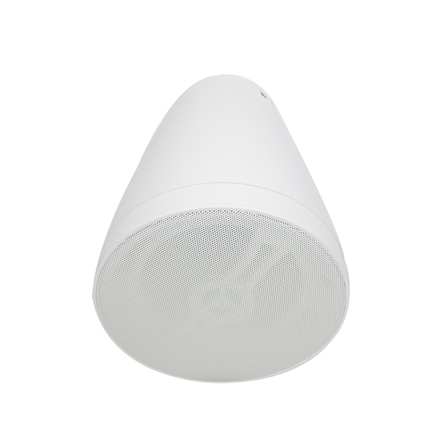 LUCKY TONE High-Fidelity Full-Range IP66 Waterproof Hanging Speaker Indoor and Outdoor Multi-size Speaker