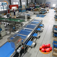 Hoge-efficiëntie machine voor het sorteren van fruit en groenten voor voedselverwerkingsbedrijven