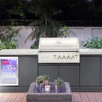 Meubles de cuisine extérieurs modernes en acier inoxydable écologiques avec barbecue à charnières et ensemble réfrigérateur pour appartement