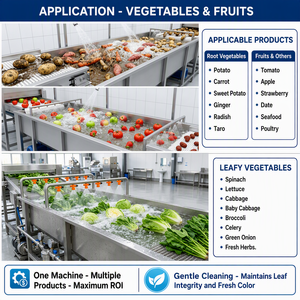 Laveuse à rouleaux pour pommes de terre, carottes, gingembre – Machine à laver les légumes à bulles – Nettoyeur commercial pour légumes-racines - Product Image 2