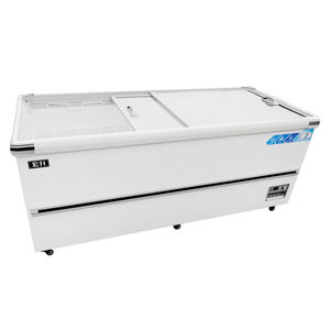 Congelatore Commerciale con <span class=keywords><strong>Porta</strong></span> in Vetro Curvo, Congelatore a Pozzetto con <span class=keywords><strong>Porta</strong></span> <span class=keywords><strong>Scorrevole</strong></span> in Vetro, Espositore per Gelati - Product Image 5