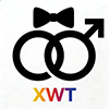 Shenzhen Xinweitong Trading Co., Ltd. logo