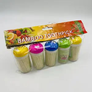 Großhandel hochwertige 5-teilige Plastikdosen verpackt einweg-Bambus-Zähnecker