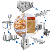 ORME Pâte de noisette et d'arachide industrielle Processus de fabrication Ligne de production de beurre de karité Machine moyenne 200kg-300kg