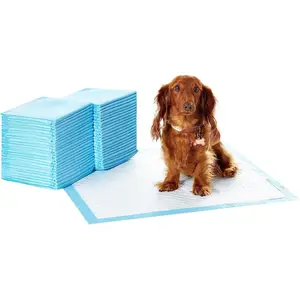Muestra gratis 6 capas a prueba de fugas perro cachorro almohadillas para orinar X gran entrenamiento de mascotas almohadilla de orina desechable con paquete personalizado fabricante