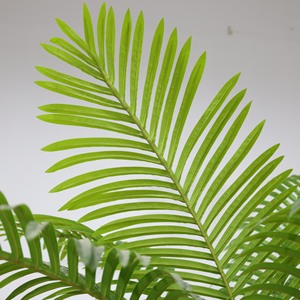 Multi-Stem Luxury <b>Artificial</b> Palm <b>Tree</b> UV Resistant Water Resistant Eco-Friendly Plastic Detachable Trunks for Home Office Hotel - Product Image 4