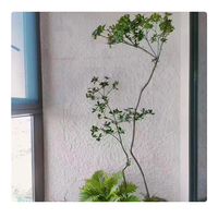 Vente à chaud de porcelaine souple en pierre étoile-lune super résistante et pliable pour les matériaux de construction muraux intérieurs et extérieurs