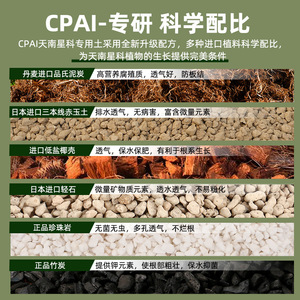 Crai Araceae – Substrat spécial hautement nutritif en granulés pour plantes d'intérieur - Product Image 1