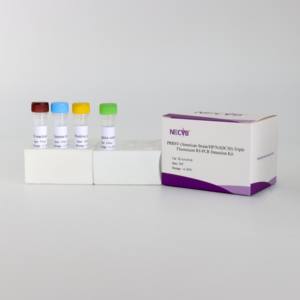 Kit Triple neon RT - PCR untuk ketegangan Amerika PRRSV, <span class=keywords><strong>HP</strong></span> - PRRSV & NADC30 - Product Image 6