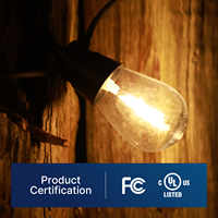 Usine directe extérieure résistant aux intempéries S14 guirlande lumineuse lampe à LED 120V E26 ampoule en plastique sans scintillement compatible avec les guirlandes lumineuses