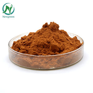 Newgreen 하이 퀄리티 최저가 그린 커피 콩 추출 분말 대량 - Product Image 3