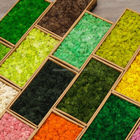 Mur végétal stabilisé avec lichens islandais et mousse de renne préservée pour la décoration intérieure, les murs de logo, les terrariums et l'artisanat
