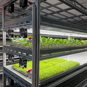 OMANA-estante de cultivo hidropónico para agricultura, para cultivo vertical de interior, para plantación de lechuga