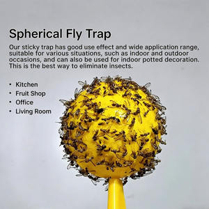 Piège à mouches des fruits collant en forme <span class=keywords><strong>de</strong></span> boule avec un design écologique Attrape-insectes pour jardin, verger et cuisine intérieure - Product Image 5