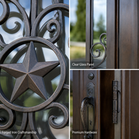 Porte d'entrée en fer forgé cintrée avec design personnalisé, revêtement poudré anti-corrosion, verre dépoli, porte de sécurité pour maison de luxe