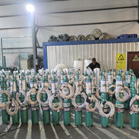 Pompe à eau submersible pour puits profond de 8 pouces en fonte, 10m³/h, hauteur de refoulement 35m, 3kW, 380V, pour l'irrigation agricole, directement de l'usine