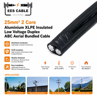 Câble jumelé ABC 0,6/1 kV 2 conducteurs 16 mm² isolé XLPE, conducteur en aluminium, pour installation aérienne, pour le Ghana