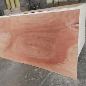 <span class=keywords><strong>Fogli</strong></span> <span class=keywords><strong>di</strong></span> <span class=keywords><strong>Compensato</strong></span> da 1mm, 1.5mm, 1.6mm, 1.8mm, <span class=keywords><strong>2</strong></span>.0mm, <span class=keywords><strong>2</strong></span>.5mm, 3.0mm, 3.2mm per Imballaggio - Product Image 6