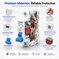 Disjoncteur miniature DZ47 100A DC MCB 1P, disjoncteur universel, protection contre les surcharges, disjoncteur miniature MCB