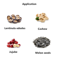 Machine de remplissage granulaire d'équipement de moteur de PLC d'acier inoxydable pour des bouteilles pour des boissons en métal graines de melon plastique de poudre de riz