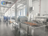Fabrieksmatige sorteer-, inspectie-, week-, was- en drooglijn voor fruit en groenten, CE-gecertificeerd