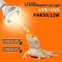 12W UVB 10.0 20.0 Led Reptile Light Led UVA UVB Sun Light Lampe pour Tortue Barbu Dragon