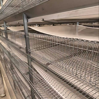 Nouvelle cage à cailles de type H à haute capacité, alimentée par batterie, automatique, pour l'élevage de poulets de chair et de volailles en ferme avicole