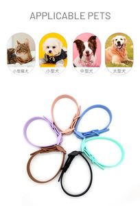 Correa para Perro Ajustable Talla XL, Impermeable, con Remaches, Ecológica, para Entrenamiento al Aire Libre, con Cinta de PVC Colorida y Resistente - Product Image 2