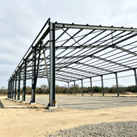 Nave Metálica Prefabricada de Construcción Rápida y Duradera para Almacenamiento de Heno, Animales de Granja y Alimentos