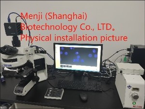 생물학적 현미경 FL 형광 OL BX53 - Product Image 2