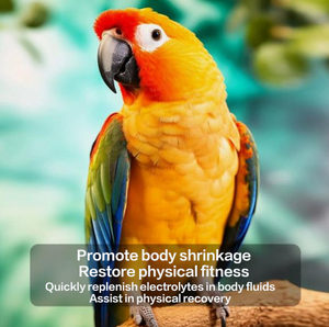 Suplemento Nutricional Multidimensional <span class=keywords><strong>para</strong></span> Mascotas Pequeñas, Electrolisis de Loros, <span class=keywords><strong>para</strong></span> <span class=keywords><strong>Aves</strong></span> y Hámsteres - Product Image 4