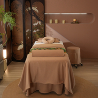 Ensemble de draps en flanelle de coton de première qualité marron clair épaissir couvre-lits de beauté Simple Salon de physiothérapie ensemble de lit draps