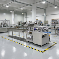 Système d'emballage horizontal entièrement automatique SZ-750W pour usine industrielle d'aliments surgelés avec machine d'emballage de rouleaux de printemps en plateau
