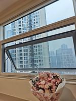 Ventanas Abatibles de Aleación de Aluminio con Vidrio y Malla de Acero Inoxidable, Diseño de Persiana, Ahorro de Energía para Cocina de Apartamento