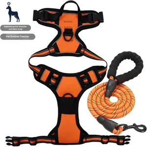 Laisse anti-choc extensible pour chien, harnais de poitrine de type harnais pour chiens de taille moyenne/grande, laisse de promenade pour chien, vente en gros d'usine - Product Image 1