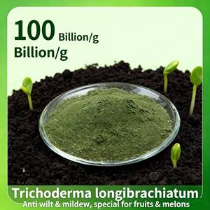 YIDA Biotech Trichoderma Longibrachiatum Probióticos en Polvo Ácido Húmico 10 Mil Millones de UFC/g Remediación del Suelo Enfermedades de Plantas 12 Meses - Product Image 2